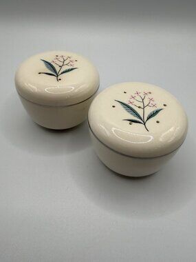 Vintage 1950's 'Regal' Botanical Salt & Pepper Set by Alliance China